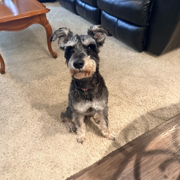 Meet your Posher, Kyla - Picture 15 of 15